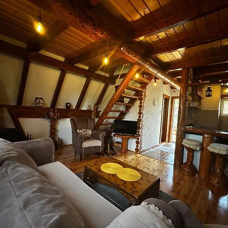 Vila Sarigora Žabljak Екстериор снимка