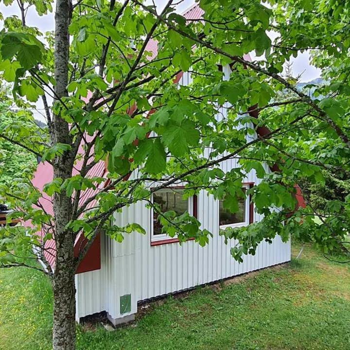 Vila Sarigora Žabljak Екстериор снимка