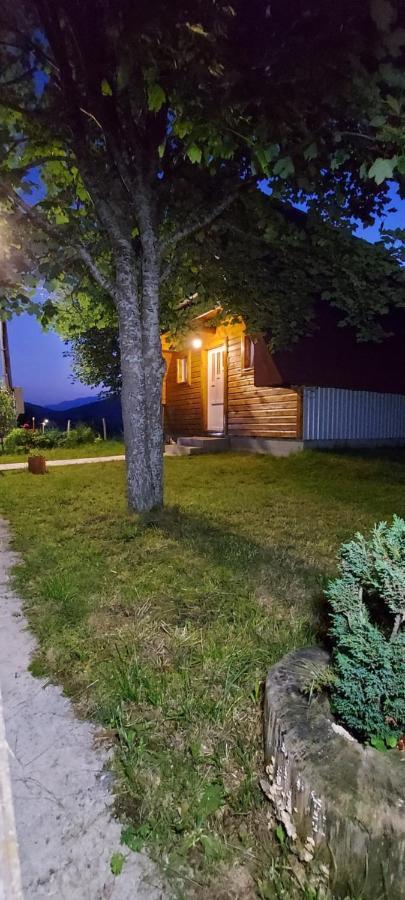 Vila Sarigora Žabljak Екстериор снимка