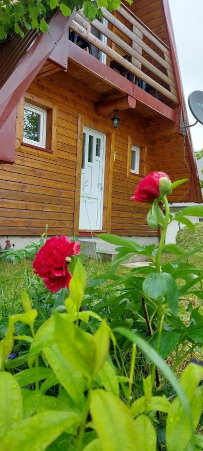 Vila Sarigora Žabljak Екстериор снимка