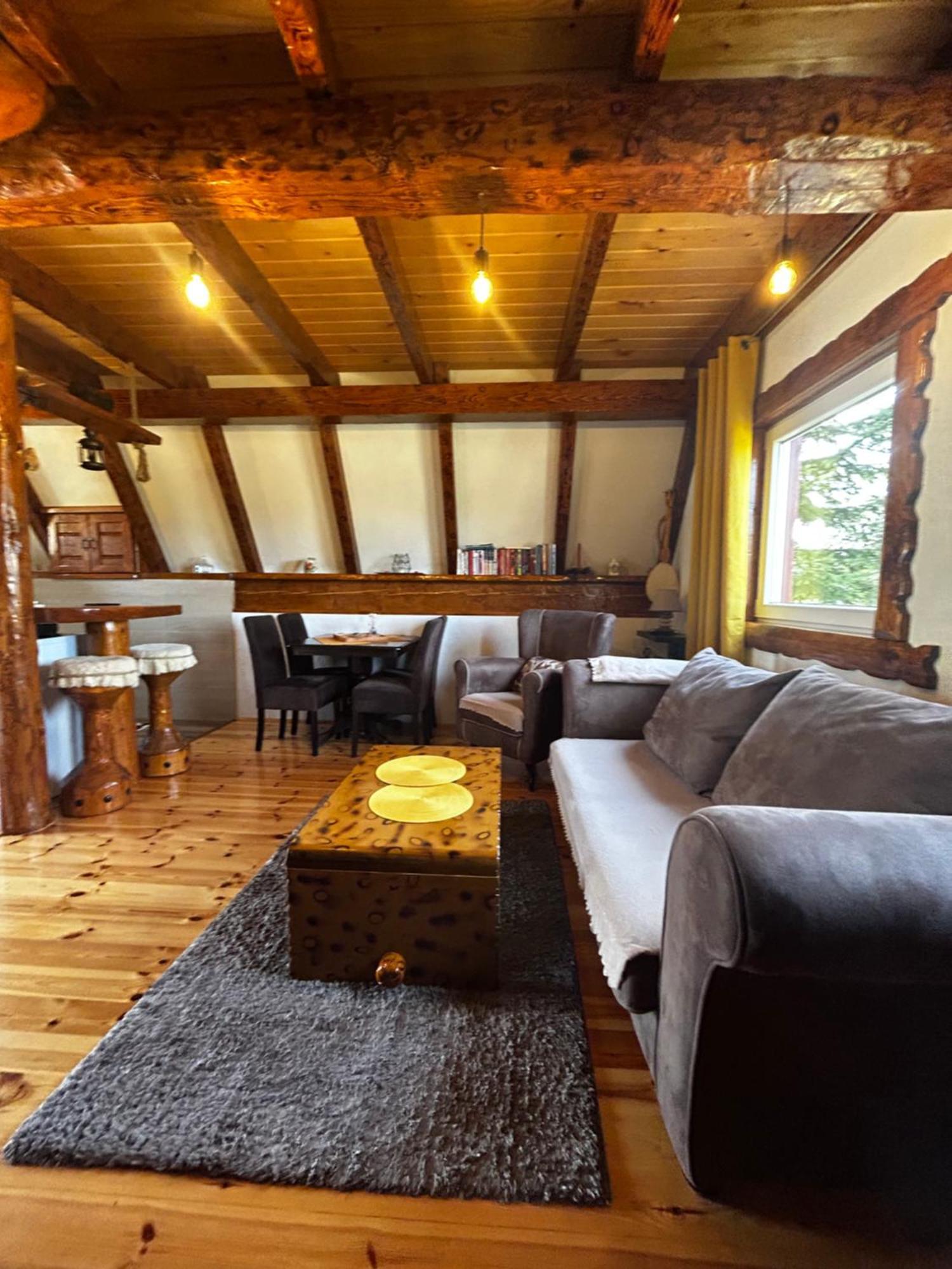 Vila Sarigora Žabljak Екстериор снимка
